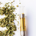INDICA