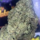 TOPSHELF- PINK ZUSHI