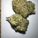 G13