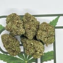 INDOOR Cereal Milk indoor