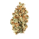 Orange daiquri ( Top shelf )