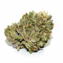 Berry White (PREMIUM)