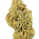 WHITE WIDOW - 5 GRAMS