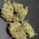 Exotic White Widow