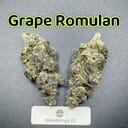 Grape Romulan---Exotics