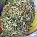 EXOTIC- LEMON CREAMSICLE