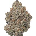 Lemon Cherry Bomb
