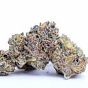 Purple urkle