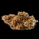 Auto Pain No More (TOP-SHELF)