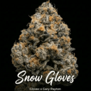 Snow Gloves