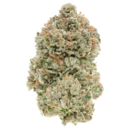 1964 - Organic Pink Kush 7g >I