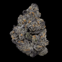 Nightshade