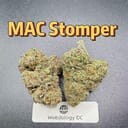 MAC Stomper---Top Shelf