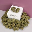 Georgia Pie-Top Shelf