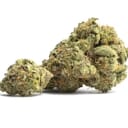 Green Hornet