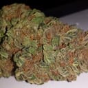 Purple Fire OG
