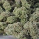 Blue Hawaiian (top shelf)