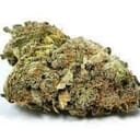 Green Crush (TOP SHELF)