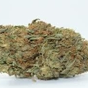 Lemon Diesel (PREMIUM)
