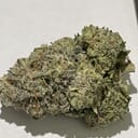 KUSH MINT