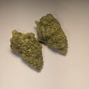 Durban Poison (PREMIUM)