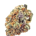 Mimosa