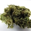 Sno Cap