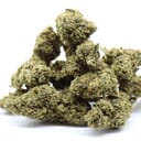 Alaskan Thunder F**k (ATF) Sativa | Top Shelf Flower