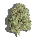 Presidential OG (Top-Shelf)