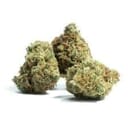 Granddaddy Purple