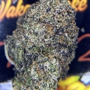 DESIGNER - SECRET WEAPON