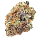 Pineapple Mimosa - Sativa THC 25%
