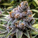 AK-47