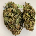 Taffie - A+ Topshelf