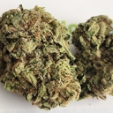 Super Silver Haze - P