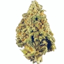 Gorilla Grapes (TOP SHELF)