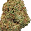 NORTHERN LIGHTS (PREMIUM)