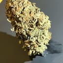 BACIO GELATO