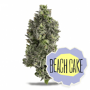 Beach Cake
