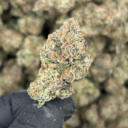 Blueberry Blast (Sativa)