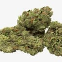 Doc OG
