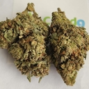 Garlic Storm - A+ Topshelf