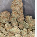 Bubba Kush (exotic)