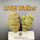 SAGE Walker---Top Shelf