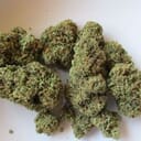Silencer Small buds