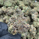 Red Velvet (Hybrid)