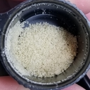 CBD Crystals