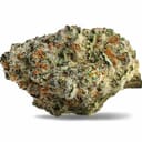 Bernie Hana Butter (Top-Shelf)