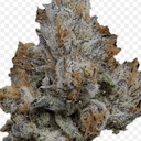 LEMON CHERRY GEL (Designer)