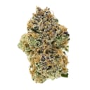 Mimosa       - 33% THC (top shelf)